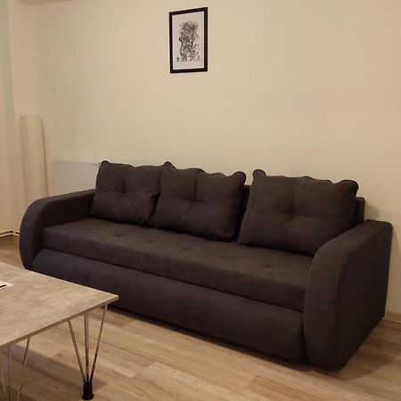 Târgu-Mureş Youth Central Apartment מראה חיצוני תמונה
