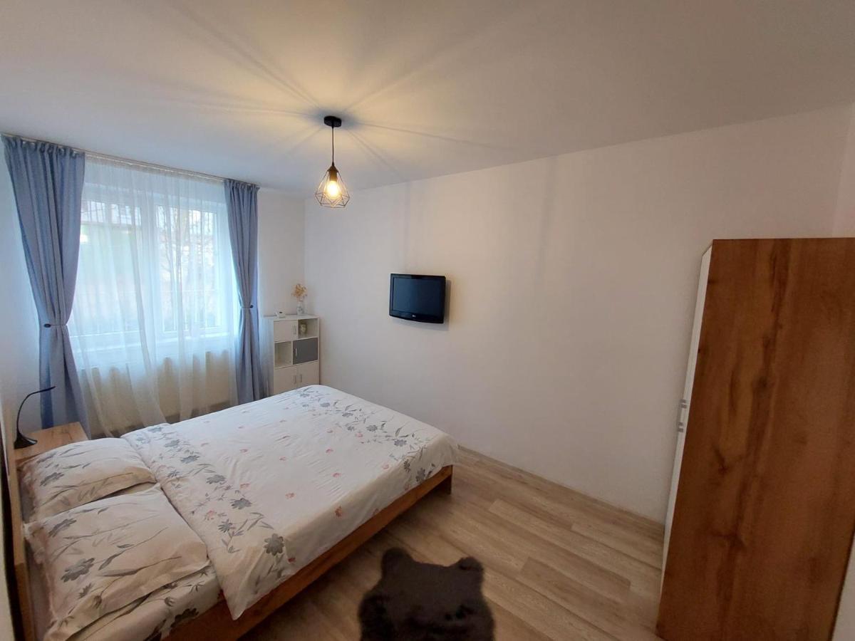 Târgu-Mureş Youth Central Apartment מראה חיצוני תמונה