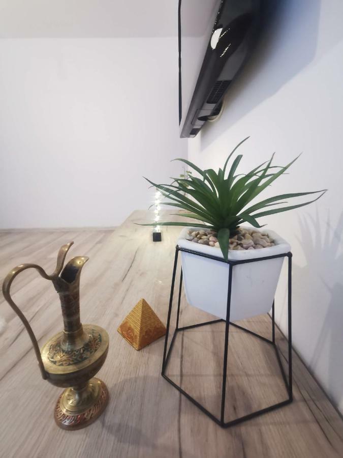 Târgu-Mureş Youth Central Apartment מראה חיצוני תמונה